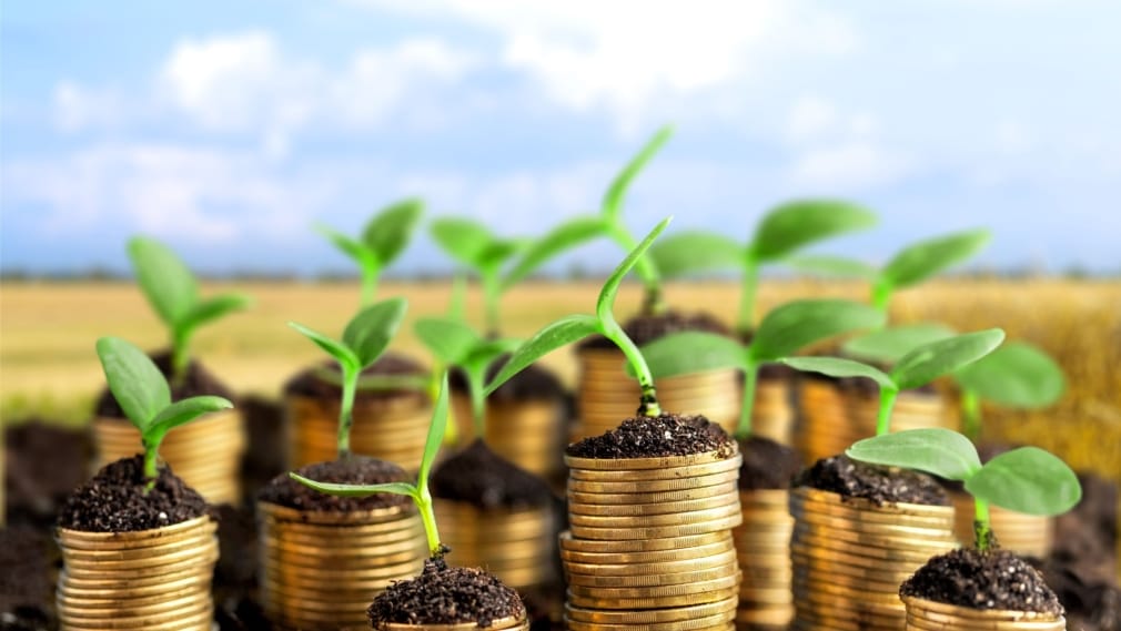 Coins in soil with young plants on blurred background. Passive income-generating property concept.